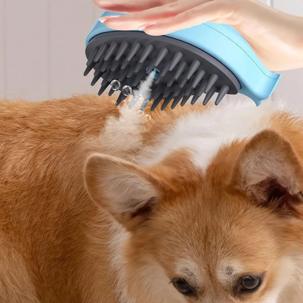 Pack Cepillo Mascotas Celeste Y Cepillo Quitapelusas