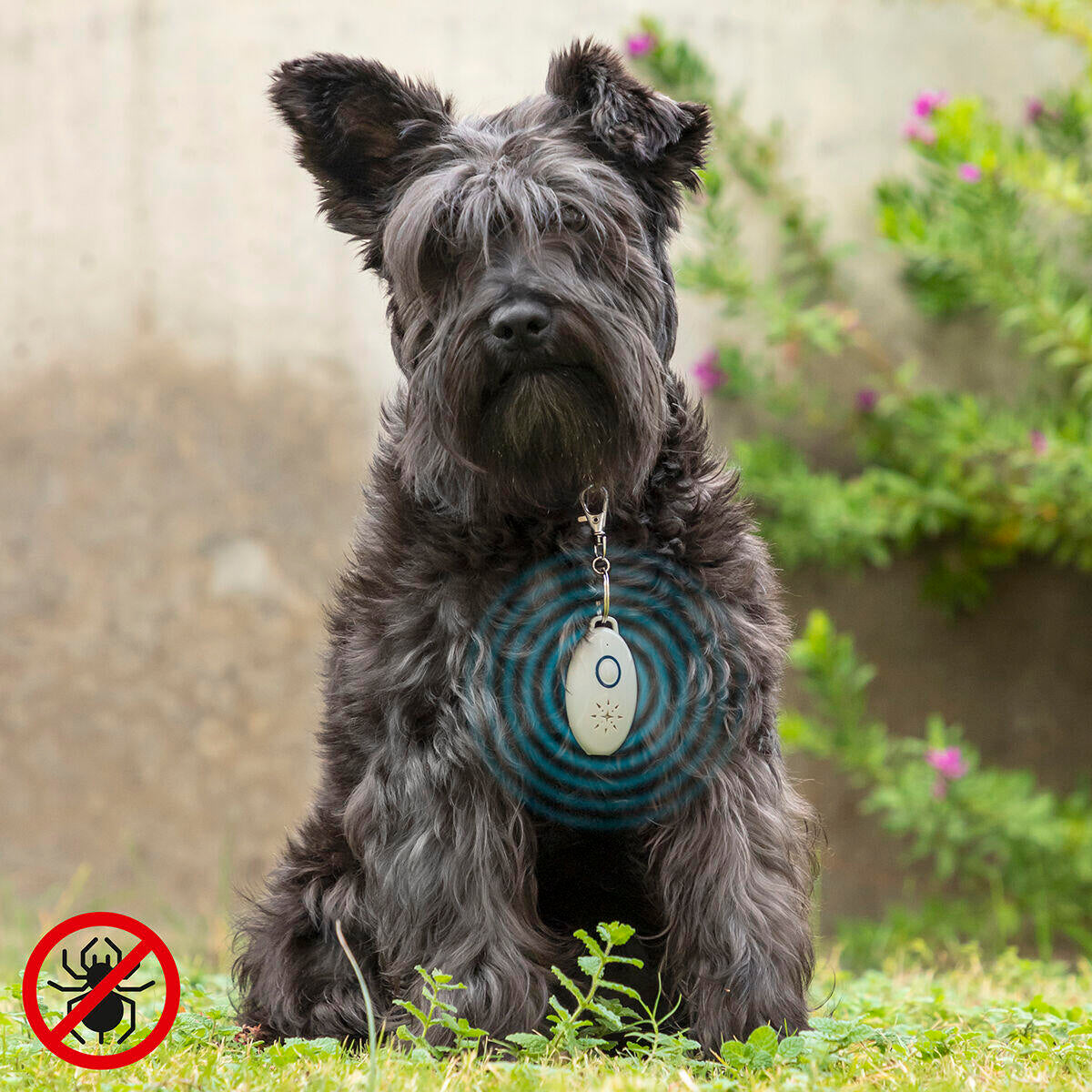 Antiparásitos por Ultrasonidos Recargable para Mascotas PetRep